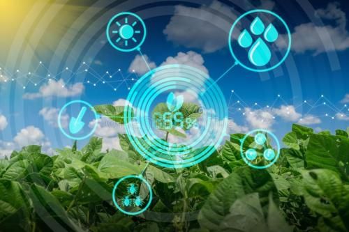 Ebpay海岳智粮·慧眼产品解决方案